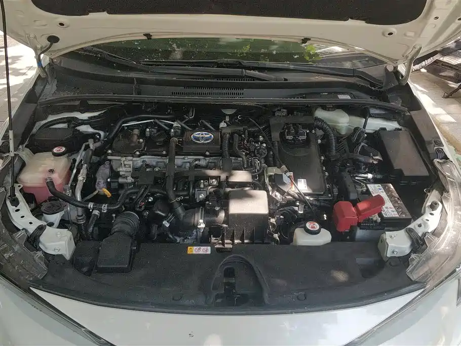 Toyota Levin 2019 Hybrid 1.8H E-CVT Luxury Edition China VI фото 10
