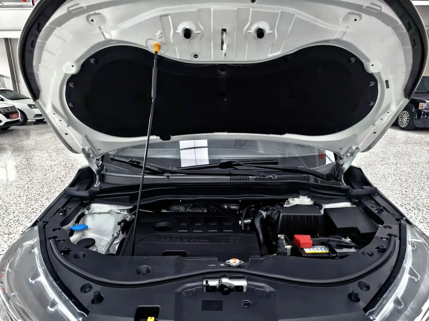 Haval M6 2021 PLUS 1.5T DCT Elite Smart Connect фото 22