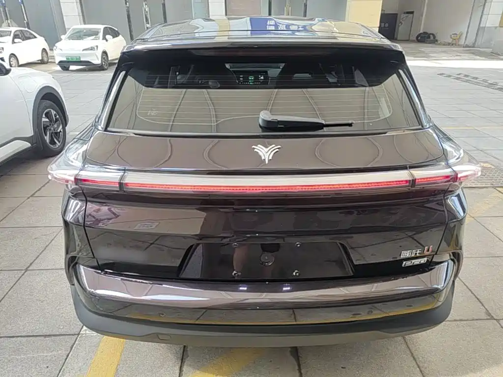 Nezha Auto Neta U 2021 2021 Pro 500 Global Edition
