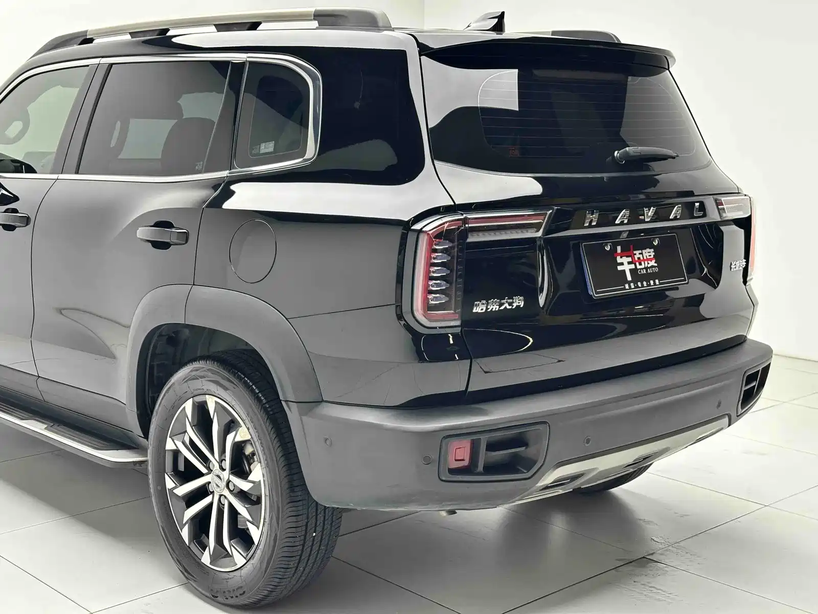 صورة 21 - Haval Dargo