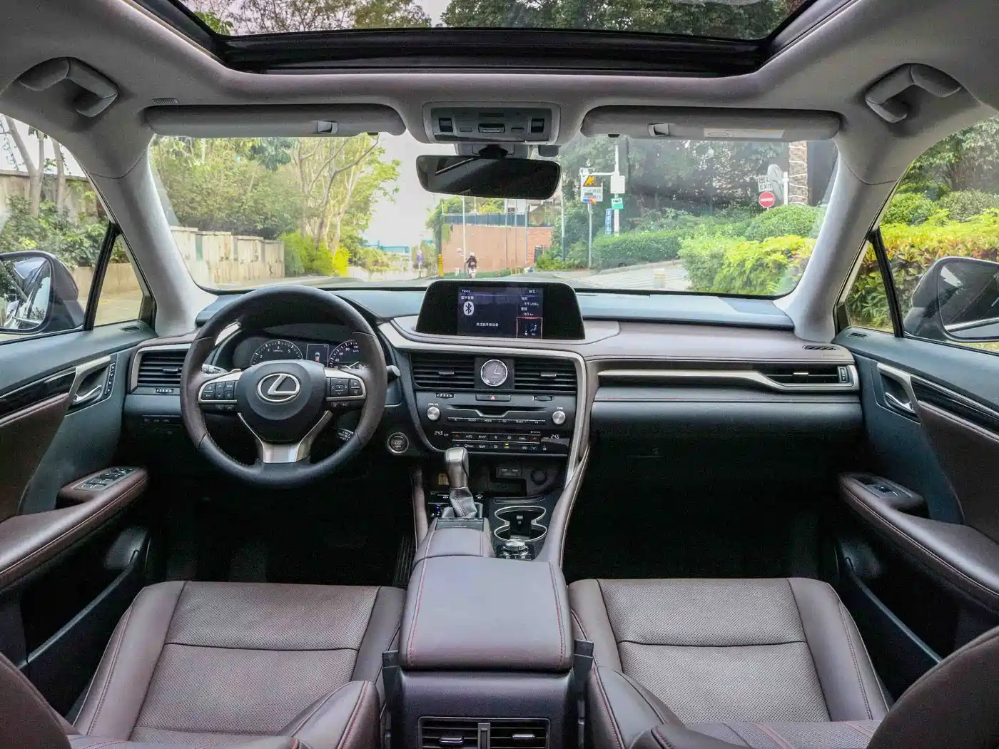 Lexus RX 2020 Facelift 300 AWD Elegance Edition фото 5