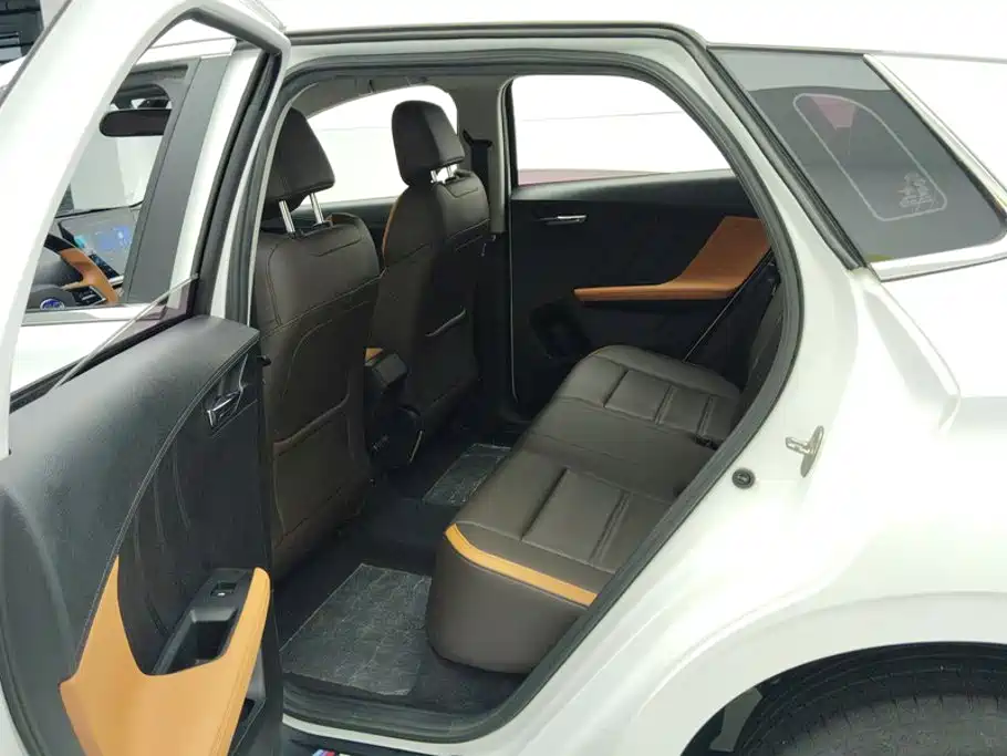 BYD e2 2022 2021 Luxury Edition