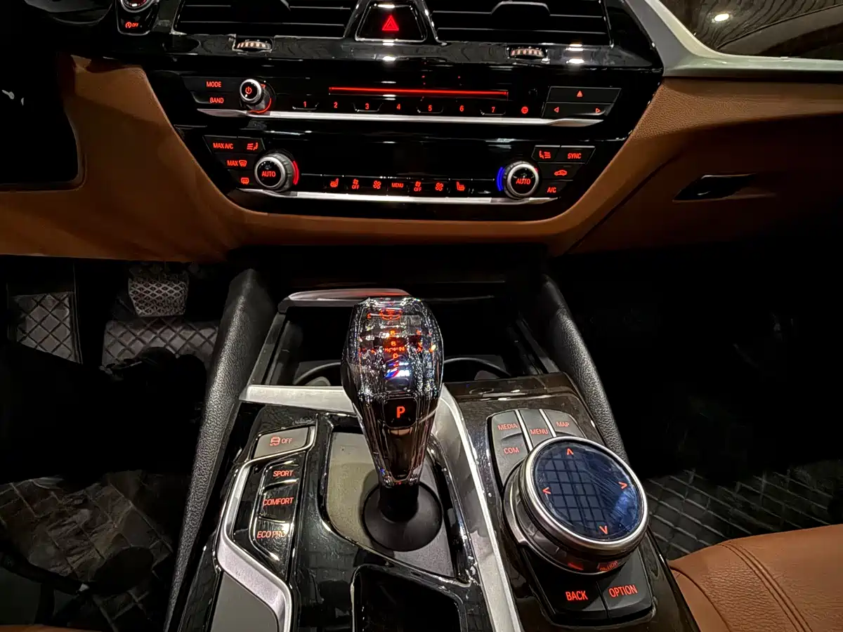 BMW 5 Series 2018 528Li Launch Special Edition фото 17