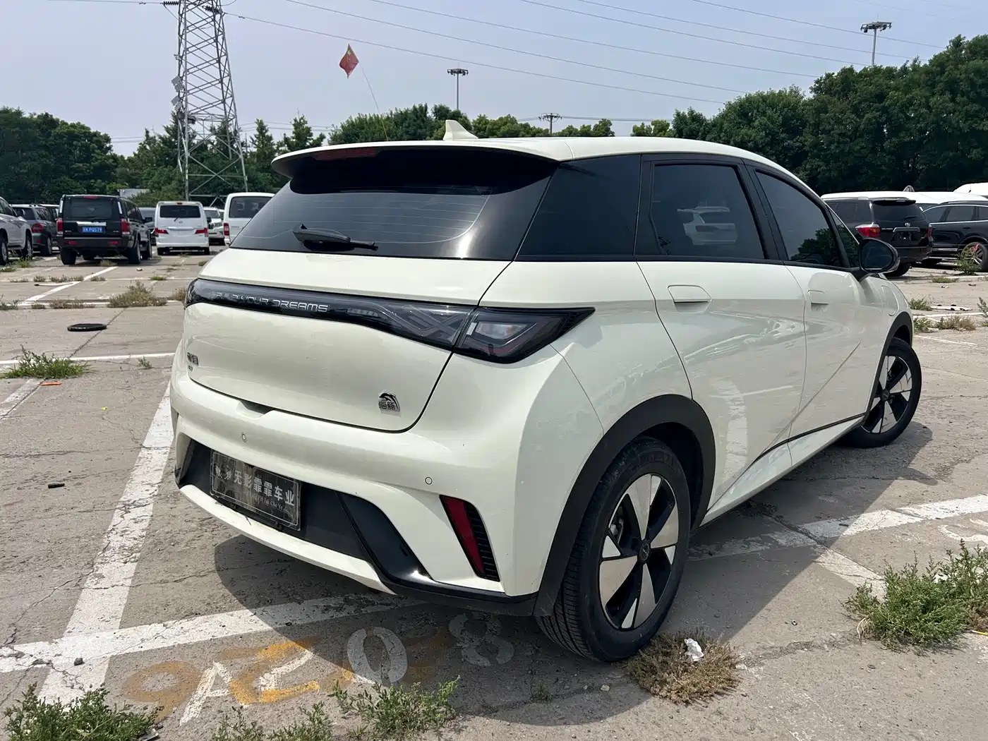 BYD Dolphin 2023 420km Fashion Edition фото 7