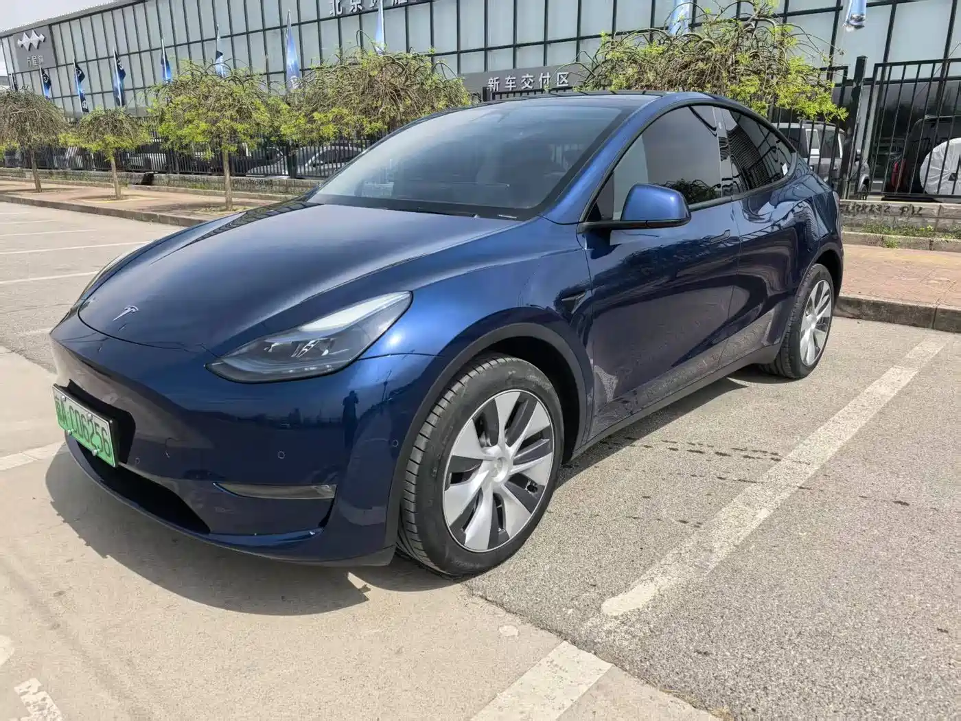 TESLA MODEL Y