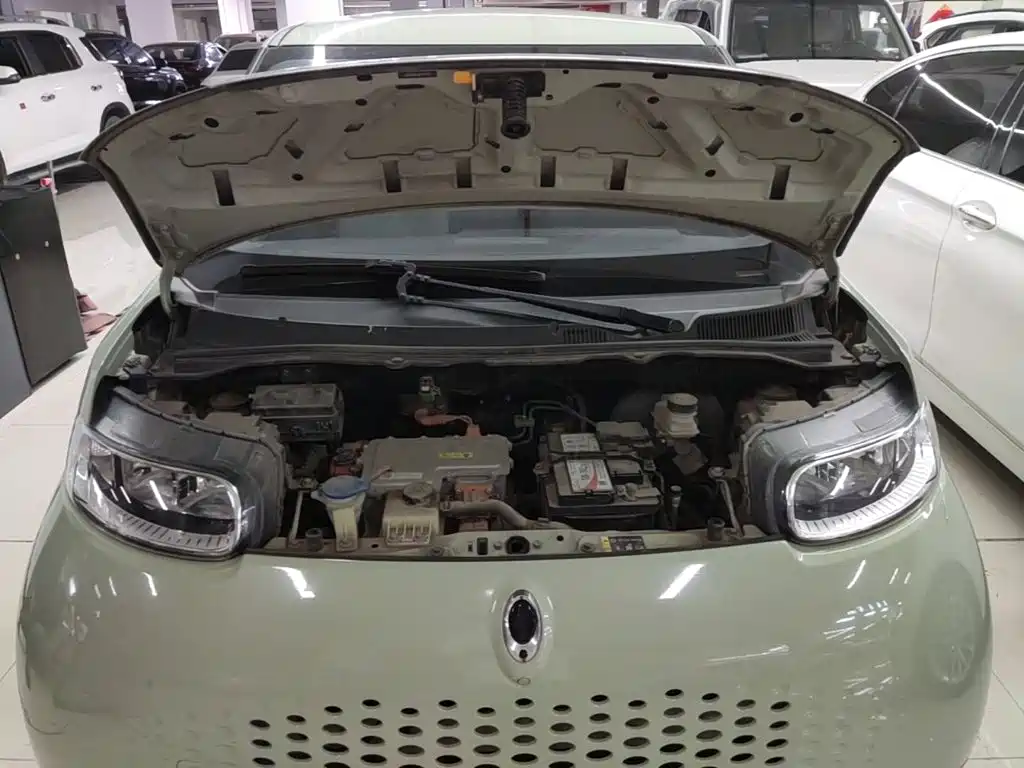 Ora White Cat 2021 2020 305km Luxury