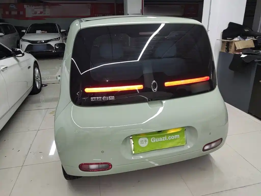 Ora White Cat 2021 2020 305km Luxury