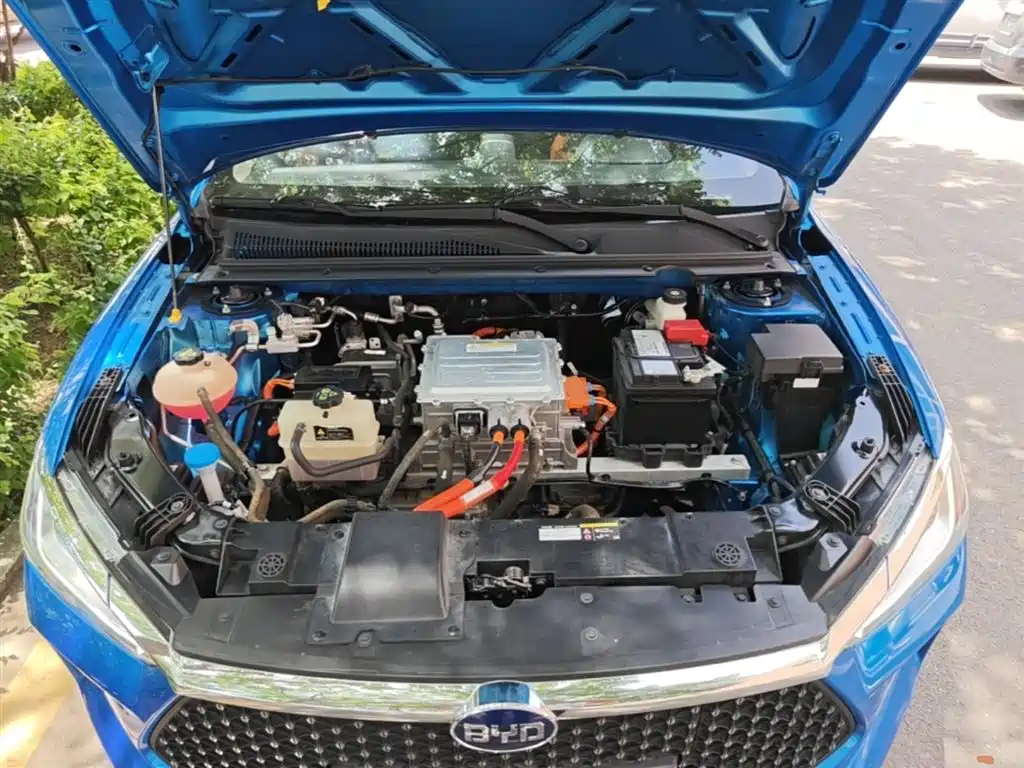 BYD e2 2021 Luxury Edition фото 20