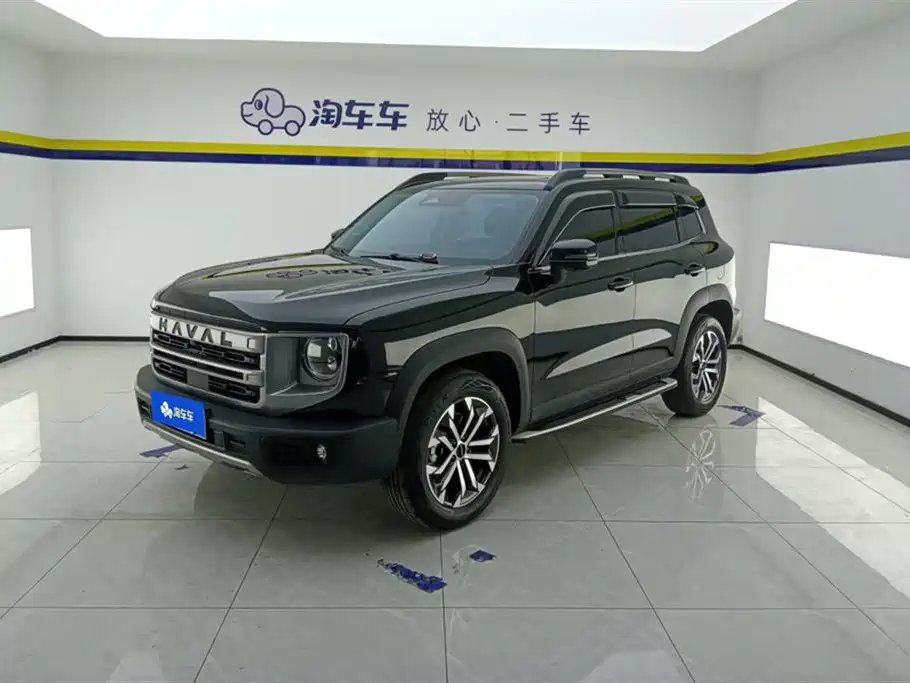 Haval Big Dog 2024 1.5T DCT Border Collie Edition