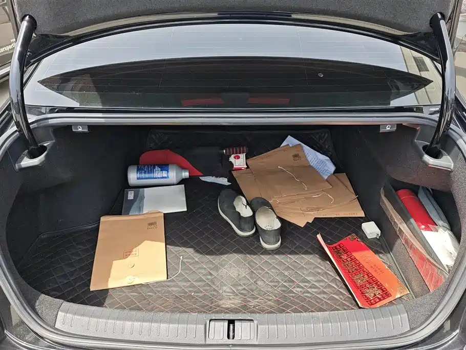 Volkswagen Magotan 2020 330TSI DSG Luxury фото 4
