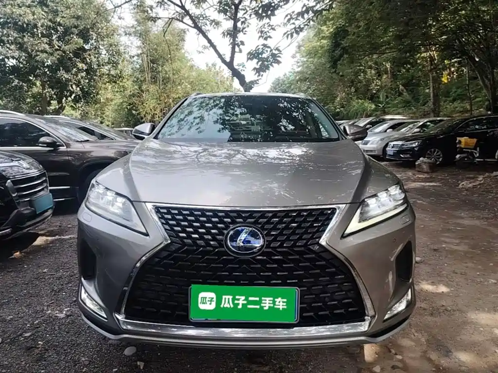 LEXUS RX