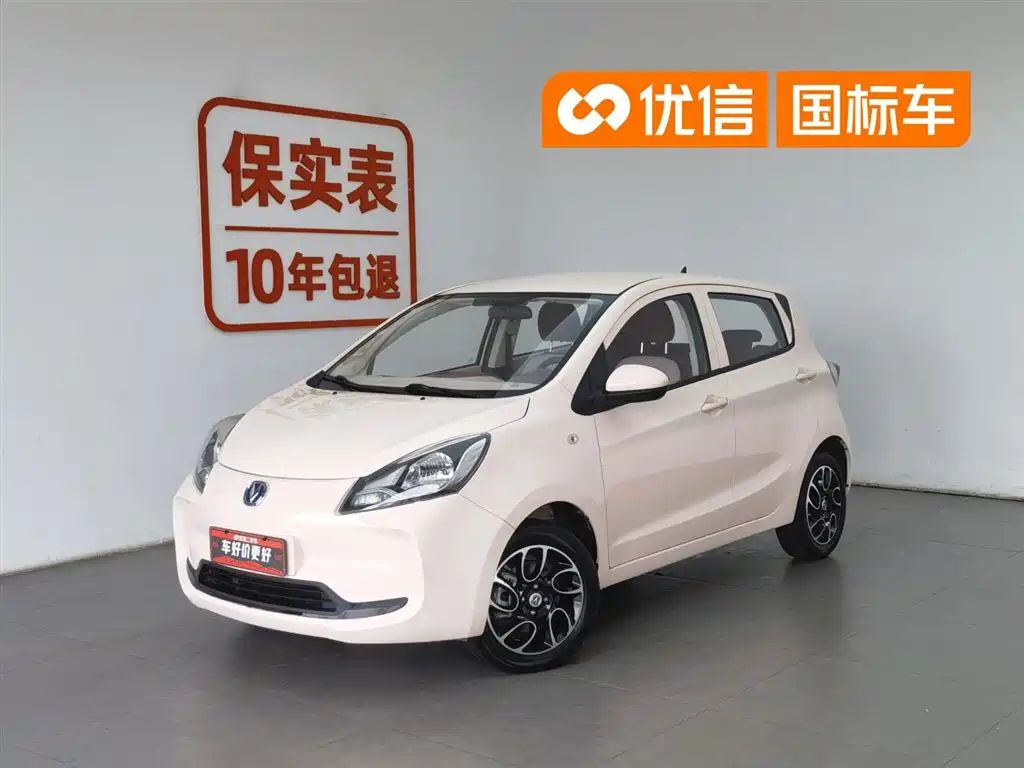 Changan Benben E-Star 2021 National Edition Xinyi LFP (31.86kWh)