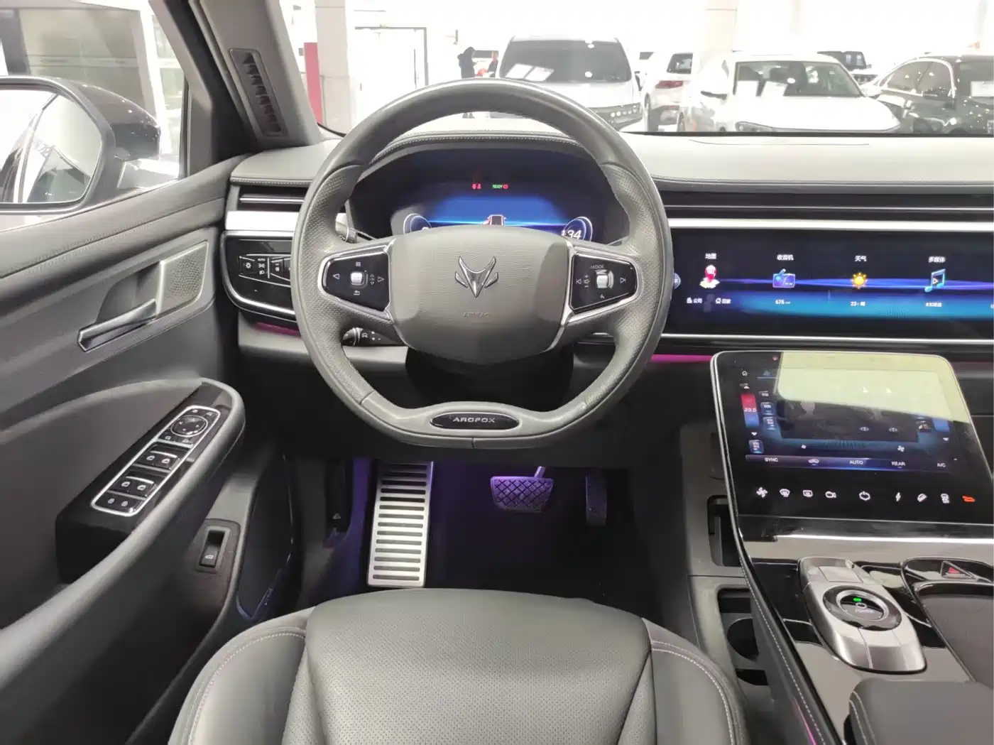 ARCFOX EXTREME FOX POLAR FOX ALPHA T