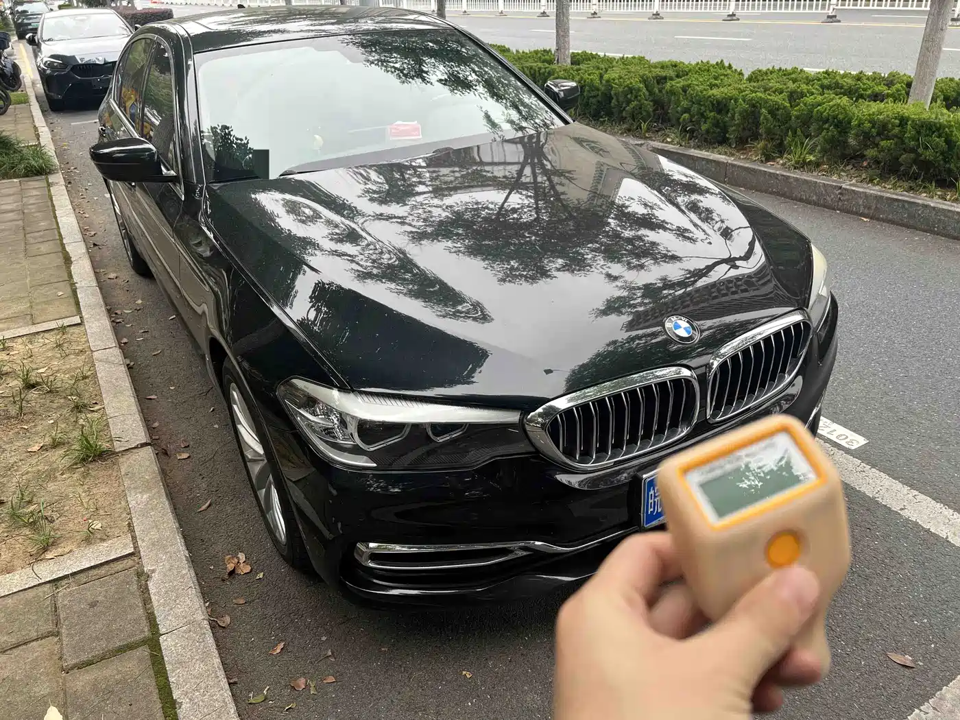 BMW 5 Series 2019 530Li Leading Luxury Package