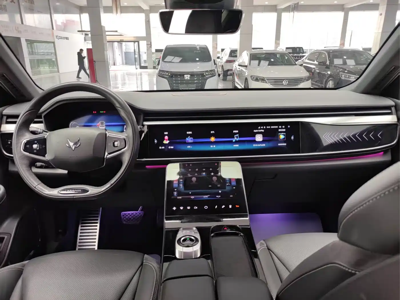 ARCFOX EXTREME FOX POLAR FOX ALPHA T