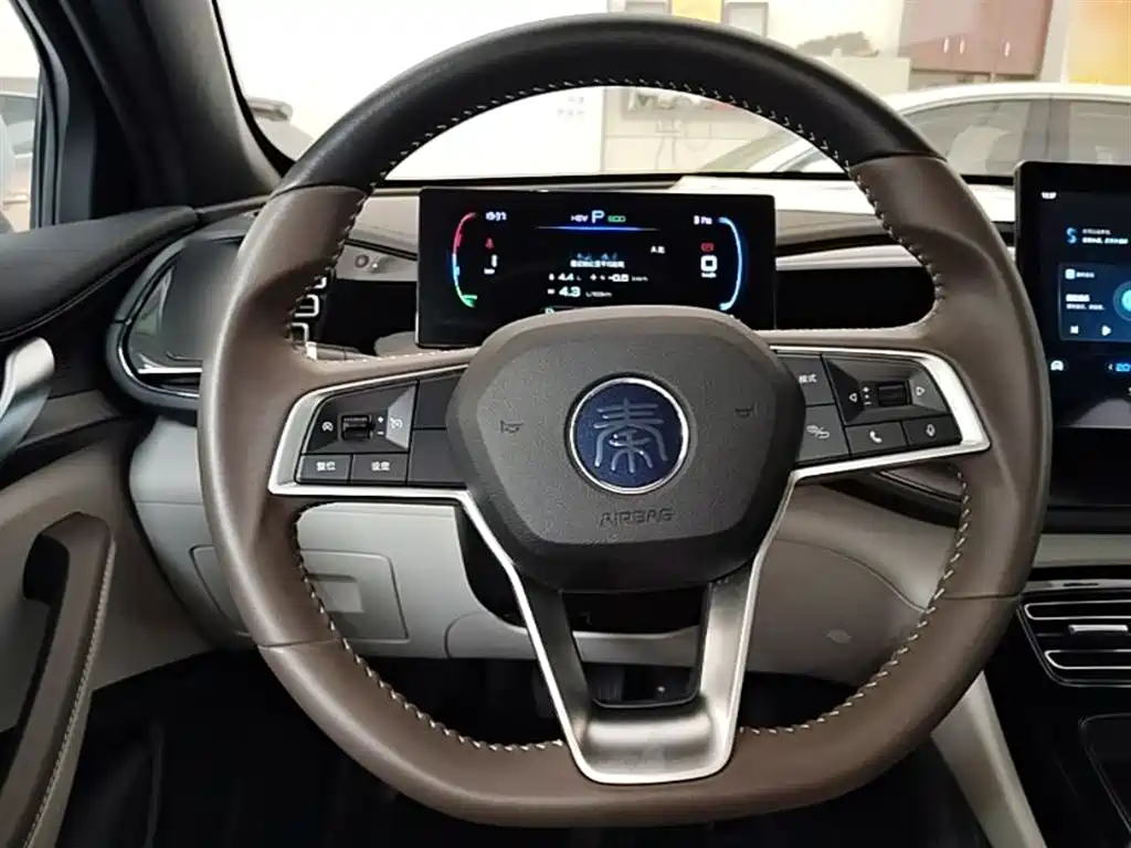 BYD Qin PLUS 2024 Glory Edition DM-i 55KM Leading фото 11