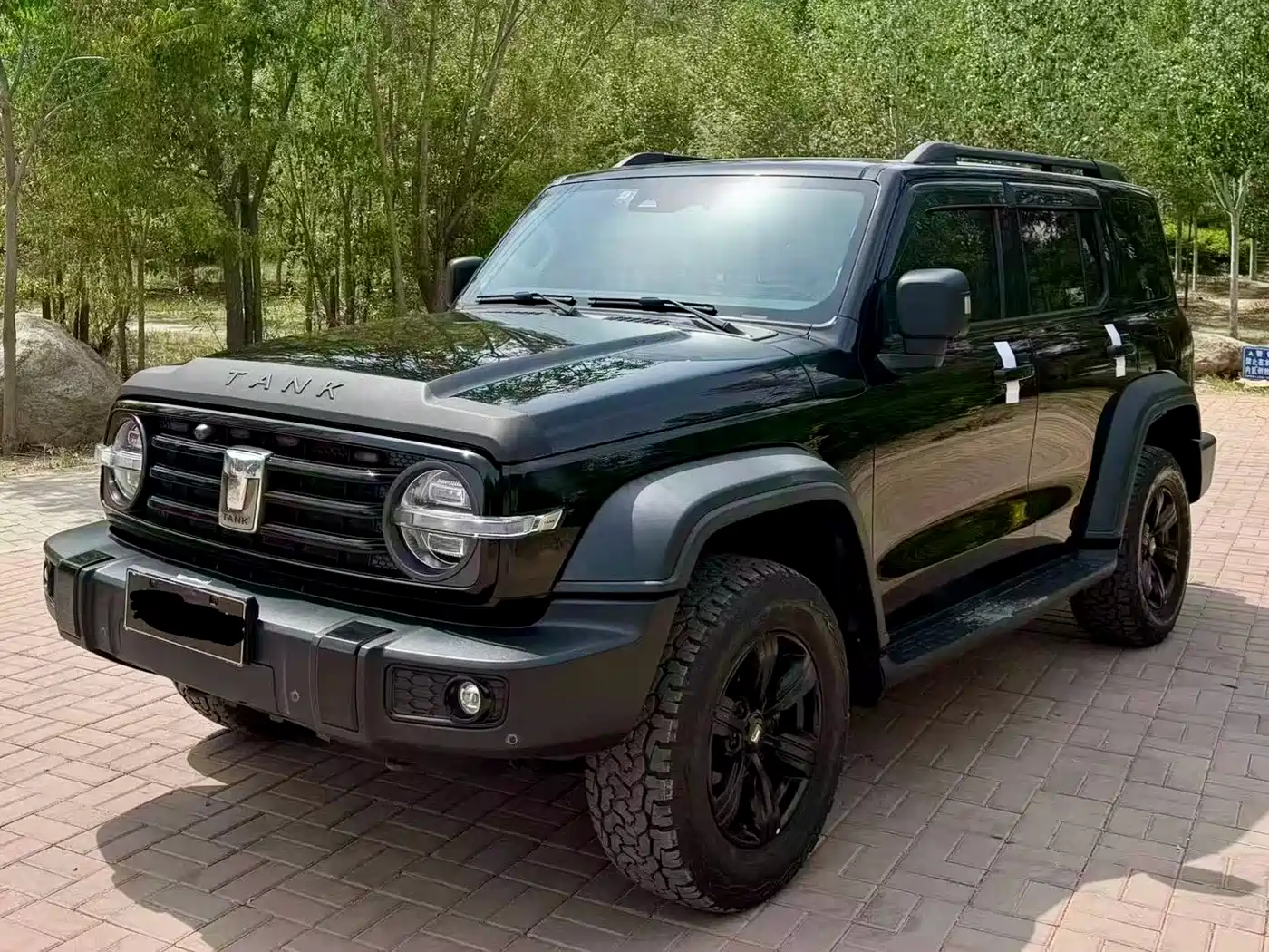 Tank 300 2021 Off-road Version 2.0T Conqueror