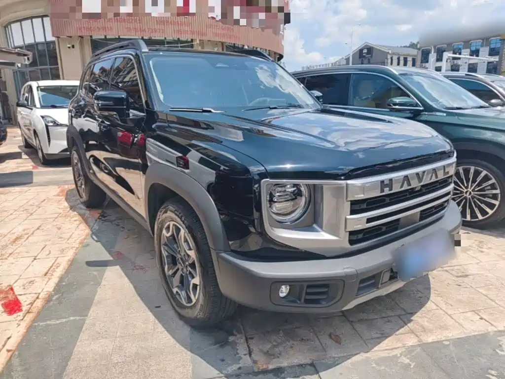 Haval Dargo 2024 2024 2.0T DCT Chinese Rural Dog Edition