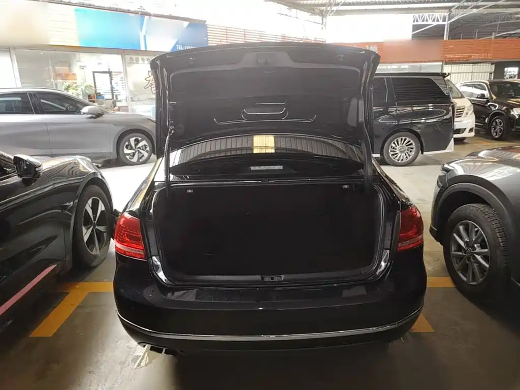 صورة 19 - Volkswagen Passat