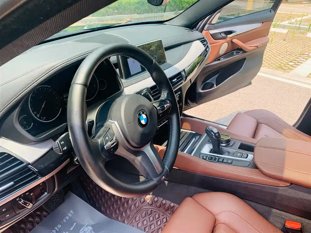 BMW X6 2018 xDrive35i M Sport Luxury Model фото 14
