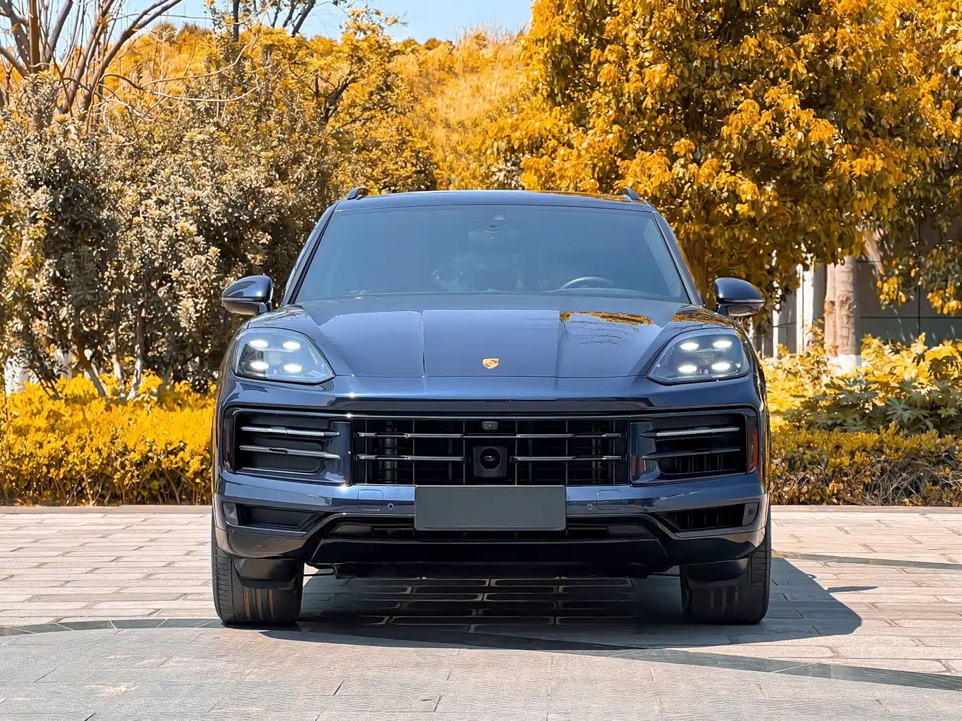 PORSCHE CAYENNE NEW ENERGY