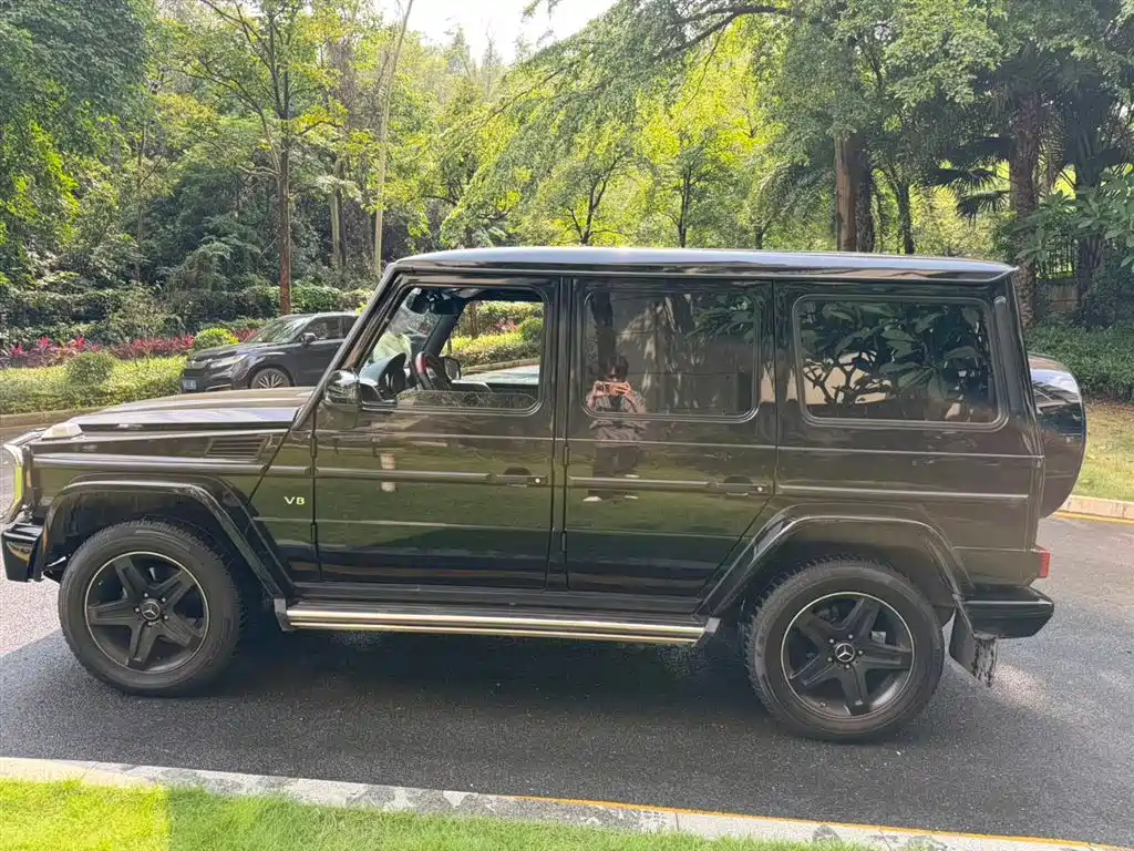 Mercedes-Benz G-Class 2017 G 500 фото 9