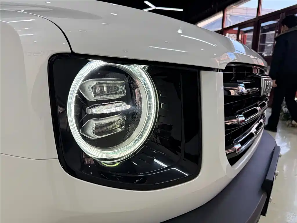 Haval Big Dog 2021 1.5T DCT 2WD Labrador Edition фото 27