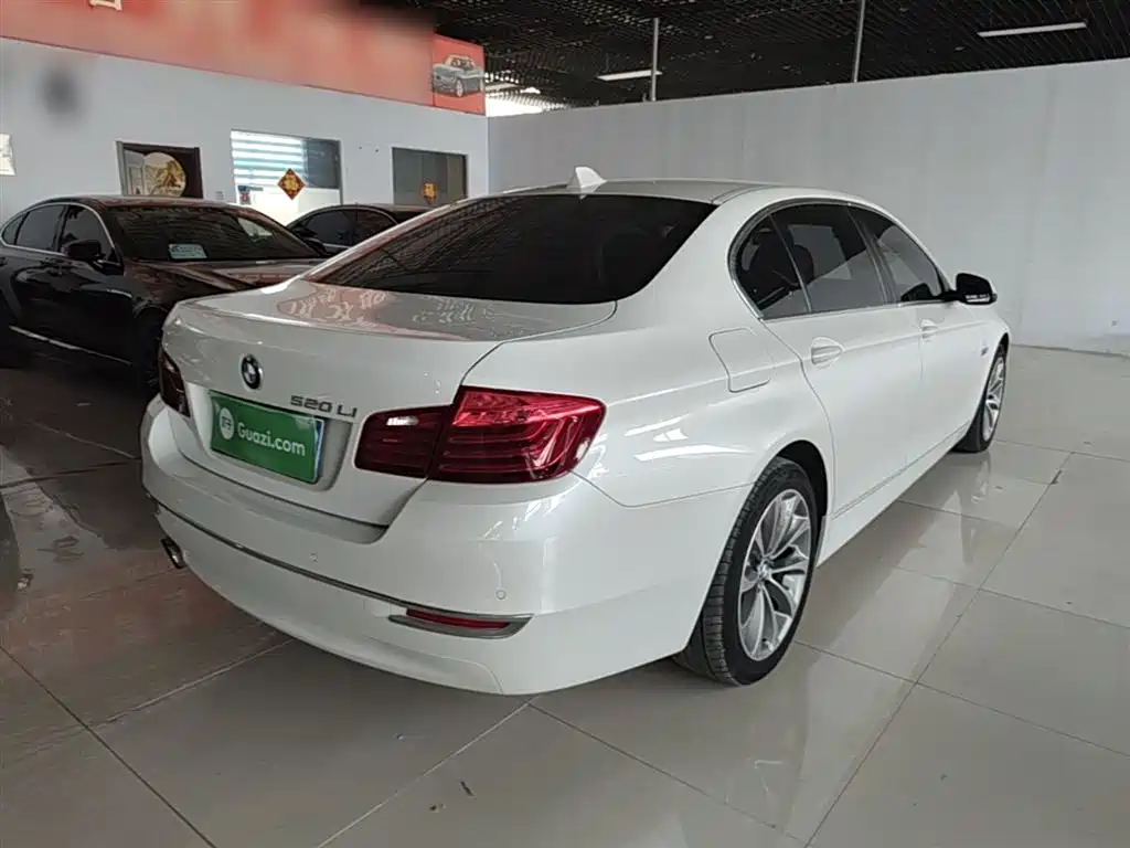 BMW 5 Series 2014 520Li Elegance фото 7