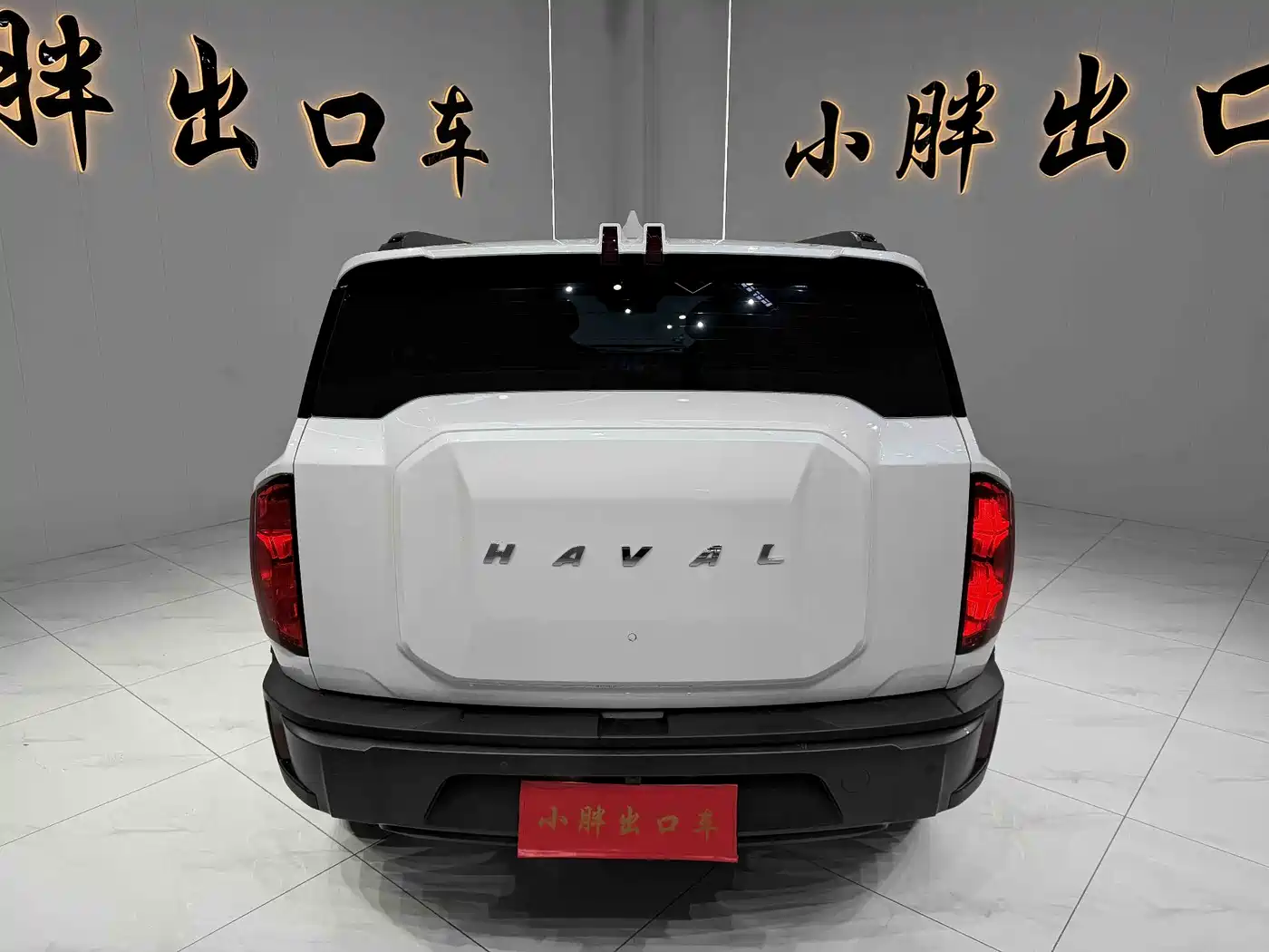 HAVAL COOL DOG