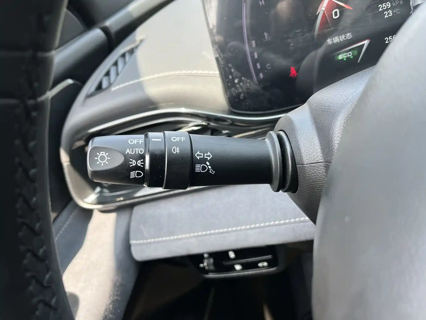 GAC TRUMPCHI SHADOW LEOPARD