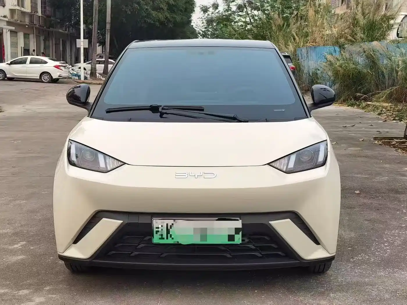 BYD Seagull 2025 305km Vitality фото 2