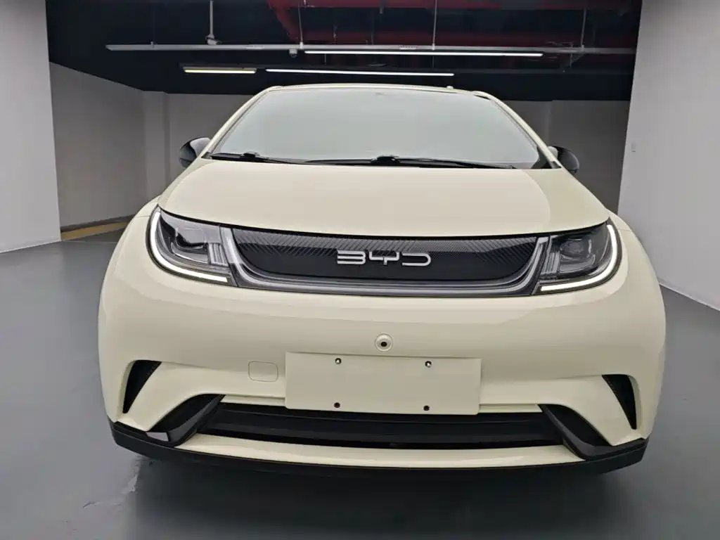 Фото 3 - BYD Dolphin