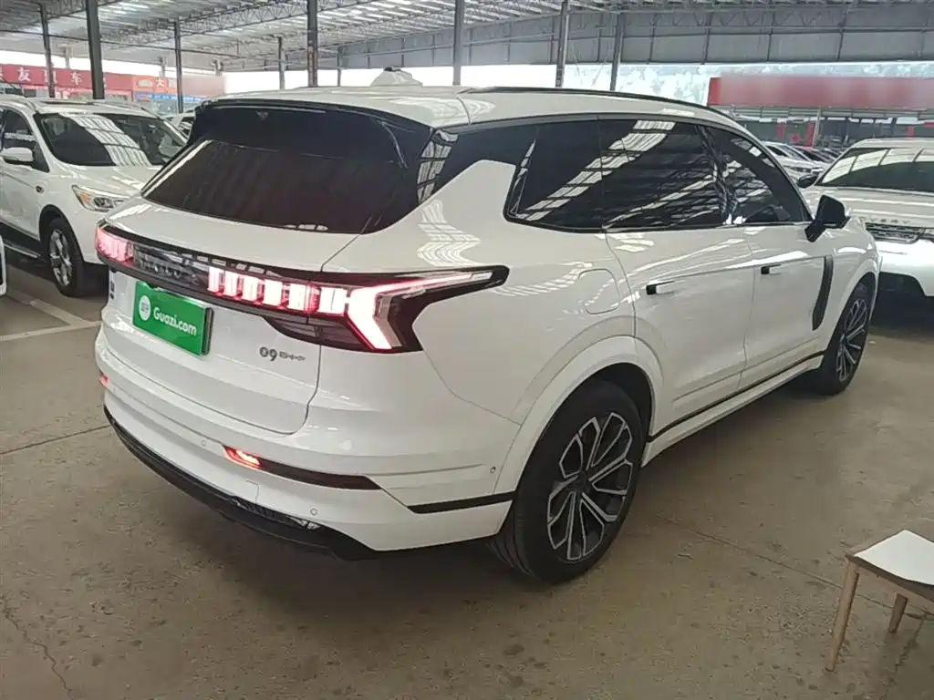 Lynk & Co 09 EM-P 2023 2.0TD EM-P Voyage PM 7-Seater фото 5