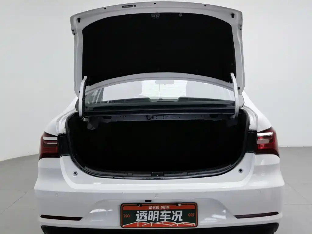 BYD Qin New Energy 2021 2019 Long Range Luxury Edition