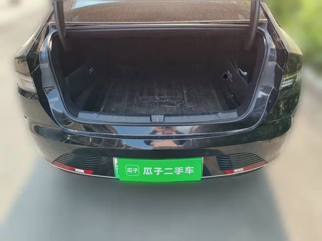 BYD Destroyer 05 2024 2024 Glory Edition DM-i 55KM Luxury