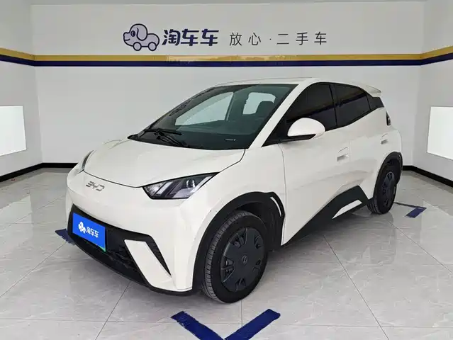 BYD Seagull 2024