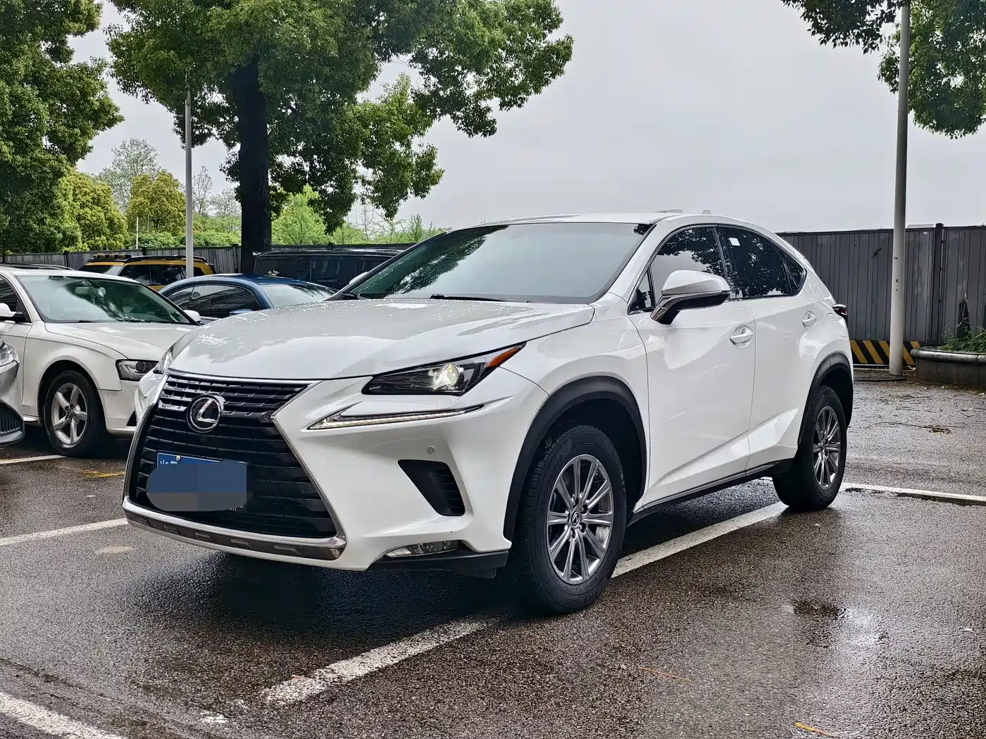 Lexus NX 2020 200 FWD Fengyi Edition China VI