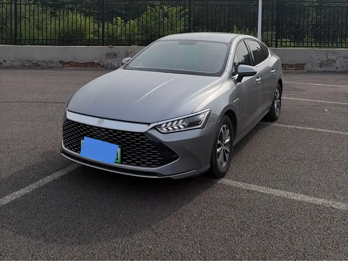 BYD Qin PLUS 2024 Glory Edition DM-i 55KM Surpass