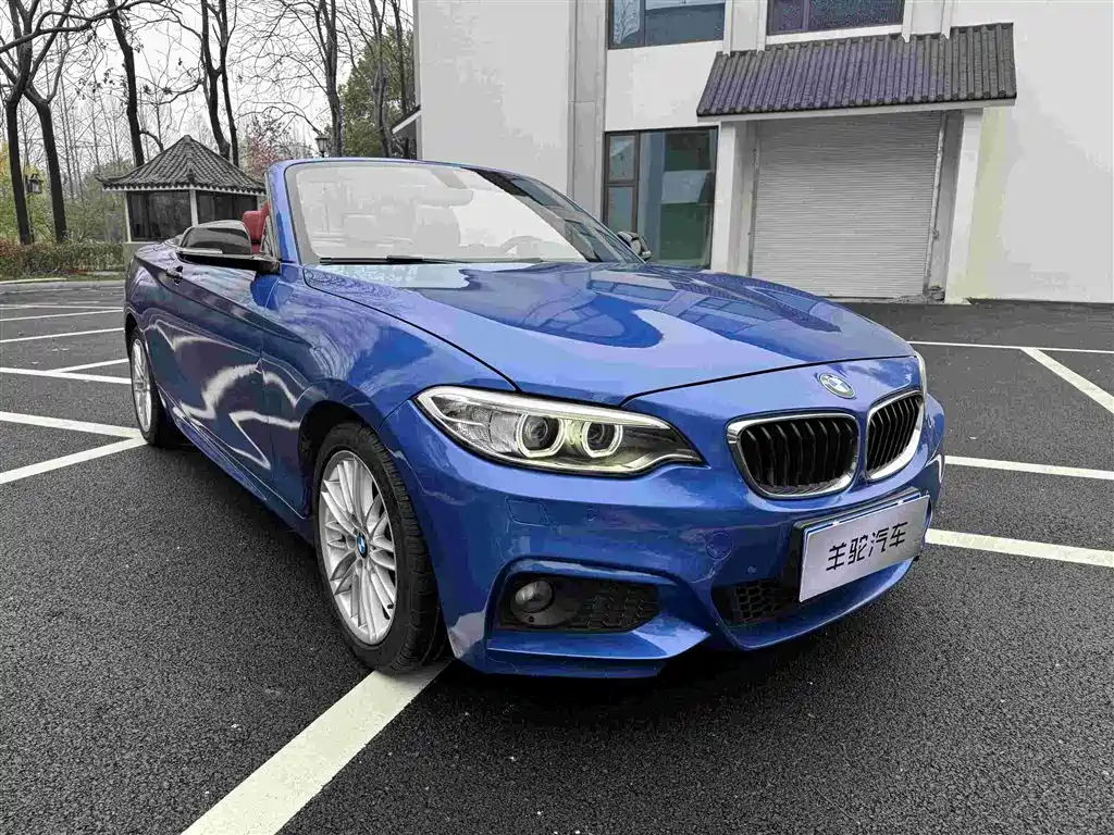 BMW 2 Series (Import) 2015 220i Convertible Coupe M Sport фото 4