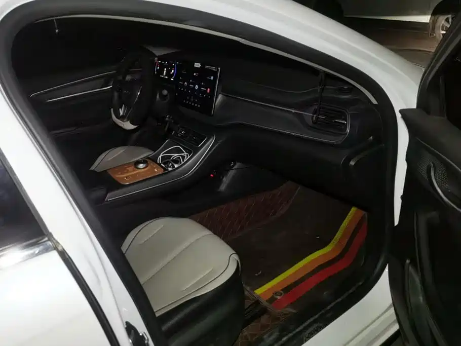 BYD Destroyer 05 2024 2024 DM-i 55KM Pilot Glory Edition