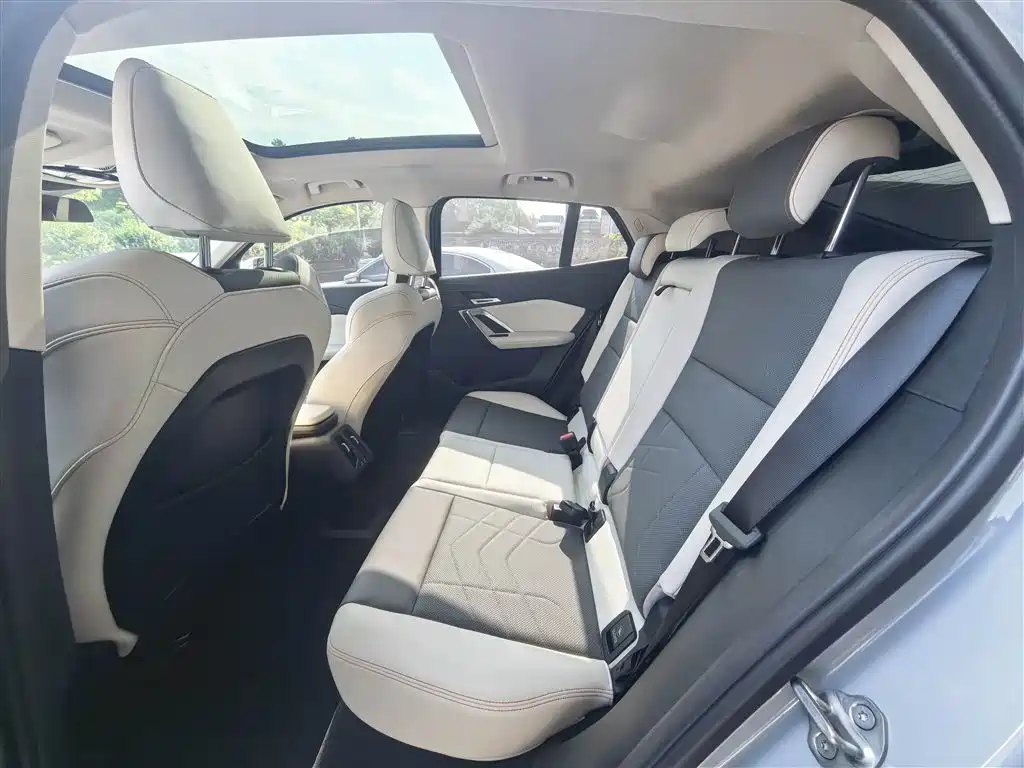 BMW X2 (Import) 2024 sDrive25i M Sport Package фото 6