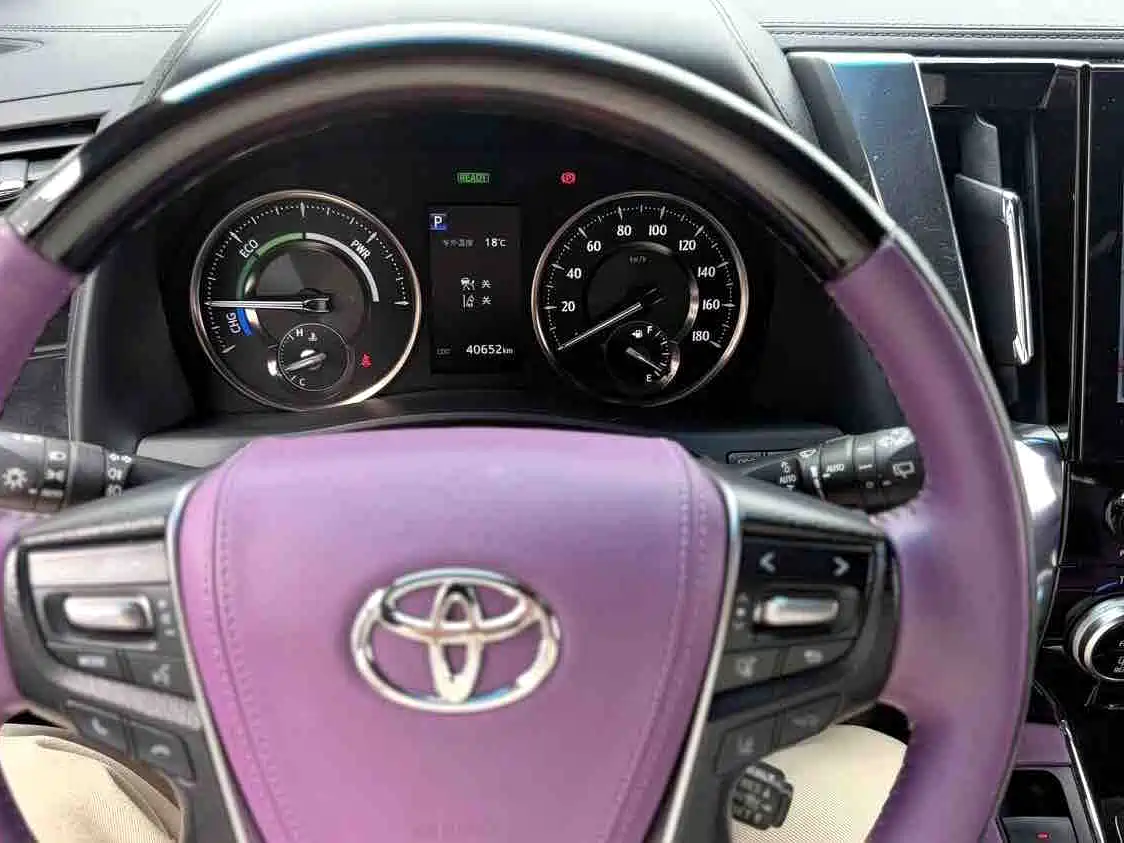 Toyota Alphard 2020 Hybrid 2.5L Premium Edition фото 8