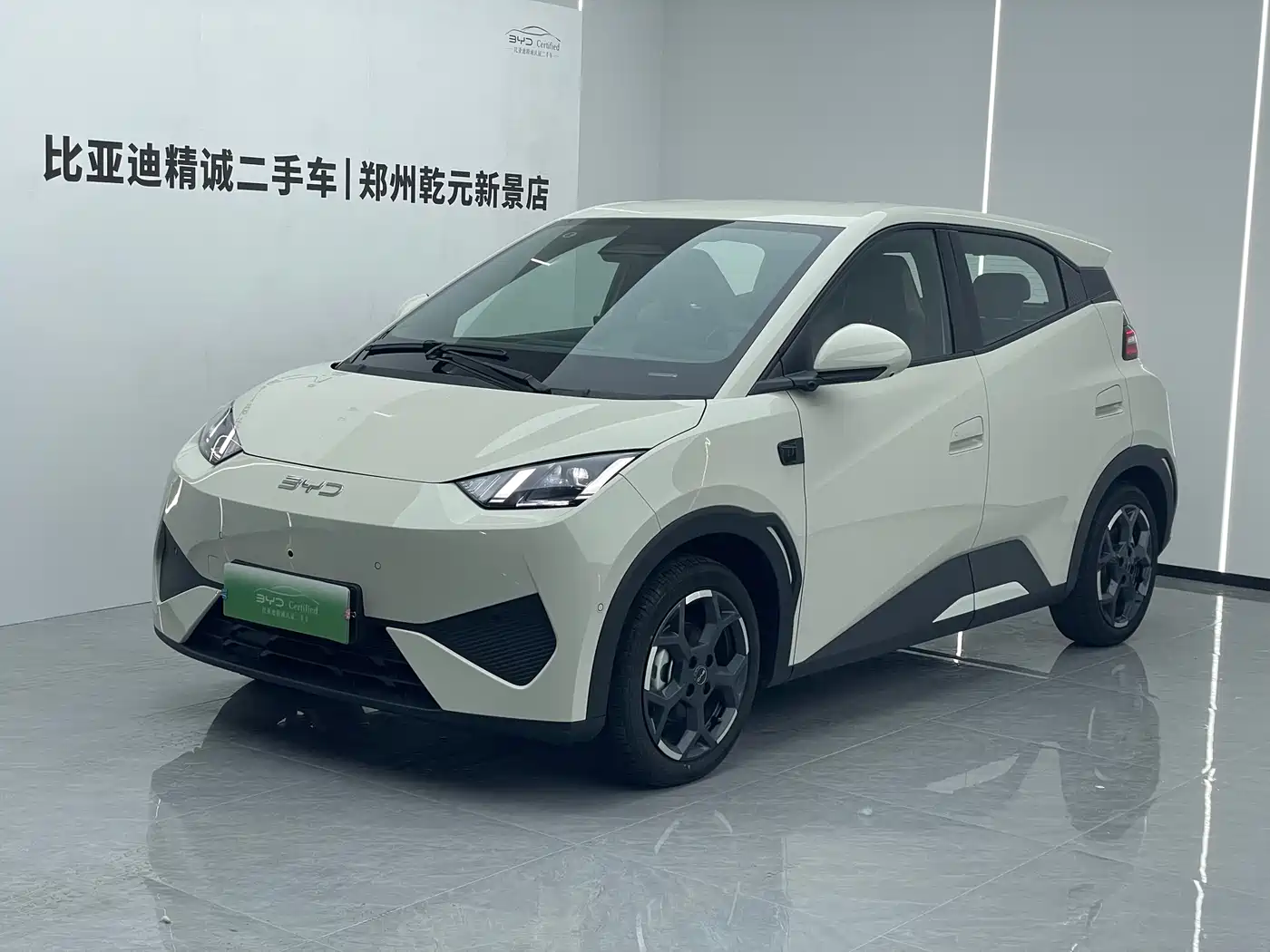 BYD Seagull 2025 Smart Drive Edition 305km Freedom Version