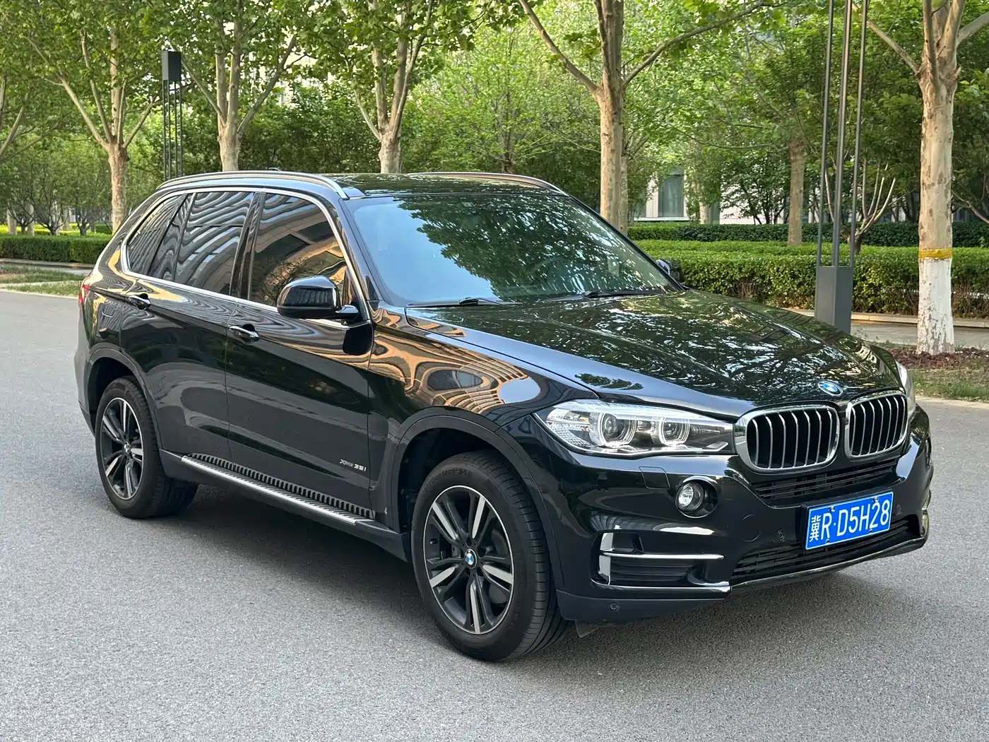 BMW X5 (Import) 2017 xDrive35i Elegance фото 3