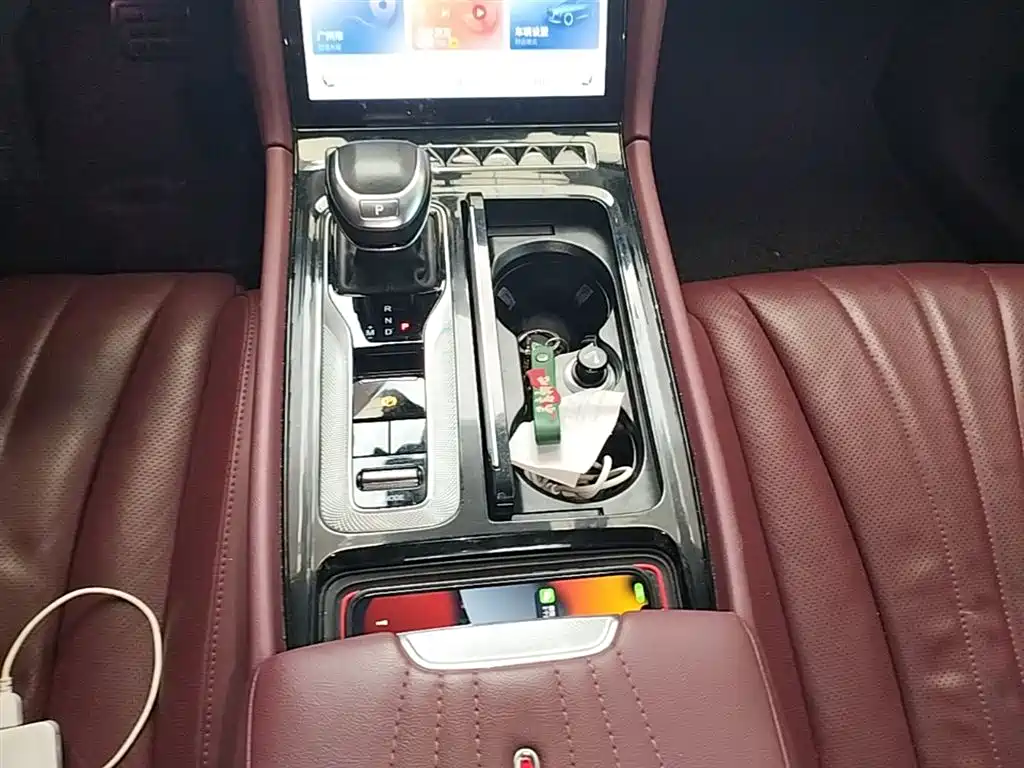 Hongqi H5 2023 2.0T Auto Smart Connect Flag Comfort фото 10