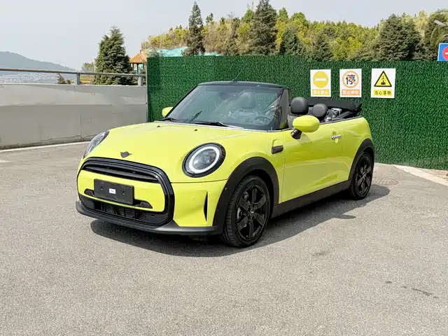 MINI 