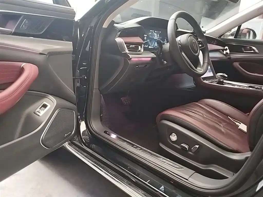 Hongqi H5 2023 2.0T Auto Smart Connect Flag Comfort фото 12