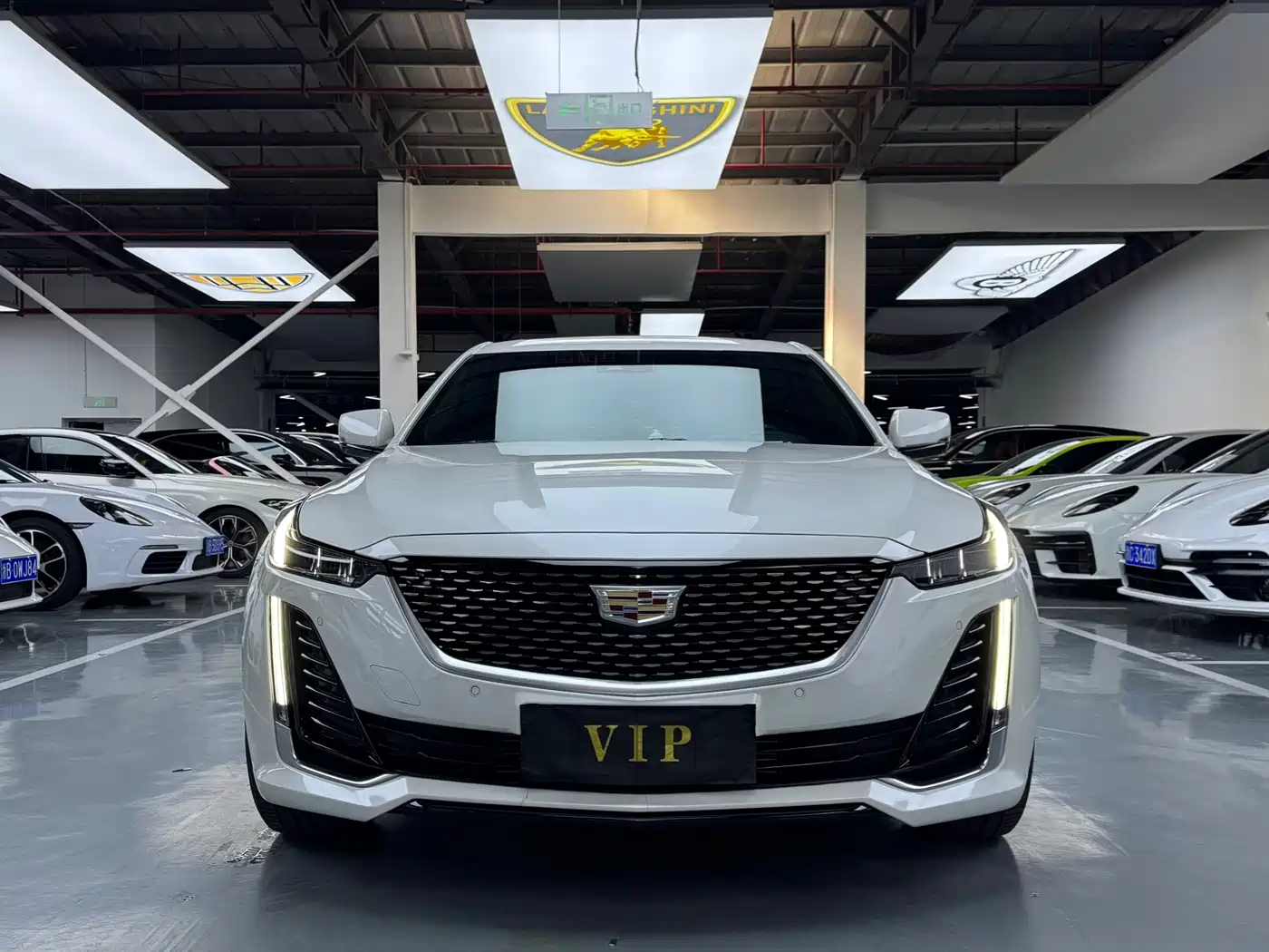 Cadillac CT5 2023 28T Luxury Style (Standard Edition) фото 2