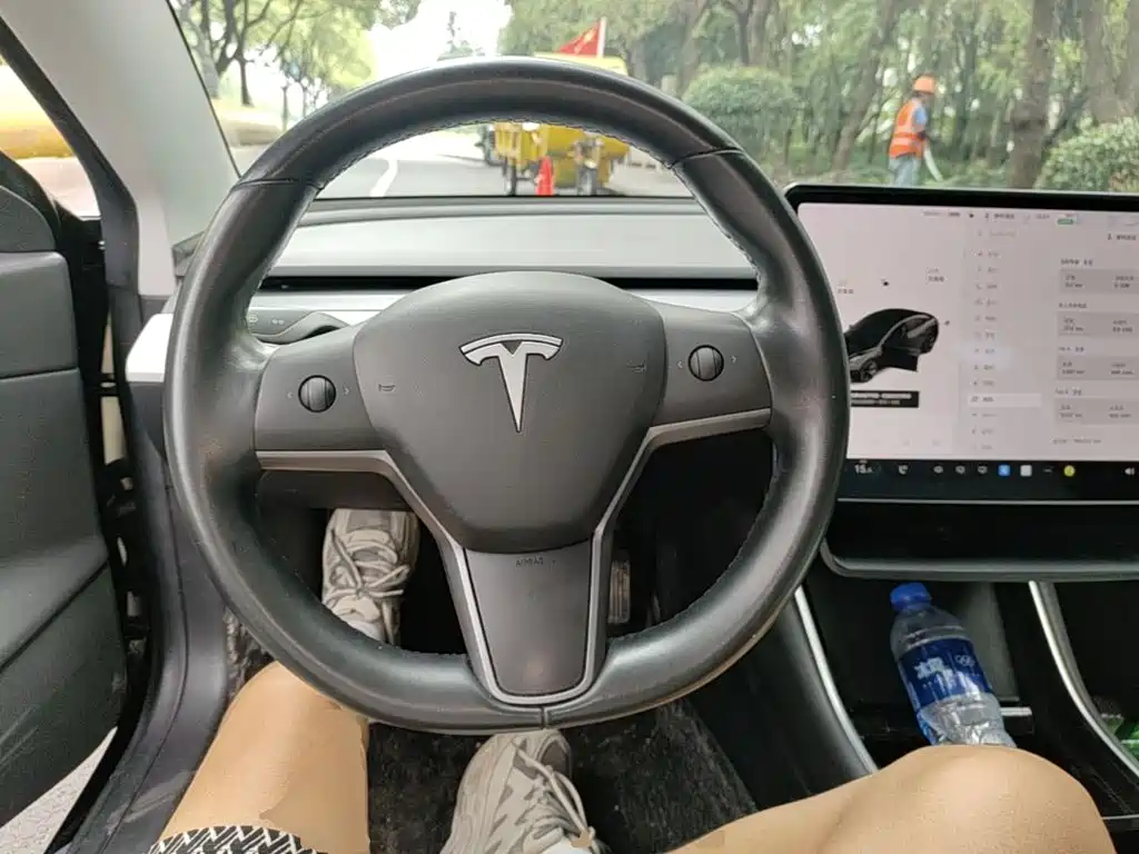 Tesla Model 3 (Import) 2019 2019 Long Range RWD Version