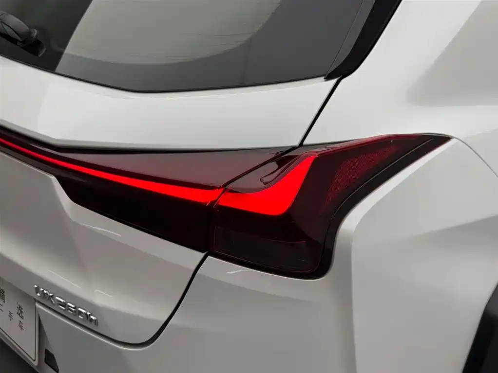 Lexus UX 2020 260h Explore Cool Edition China V фото 15